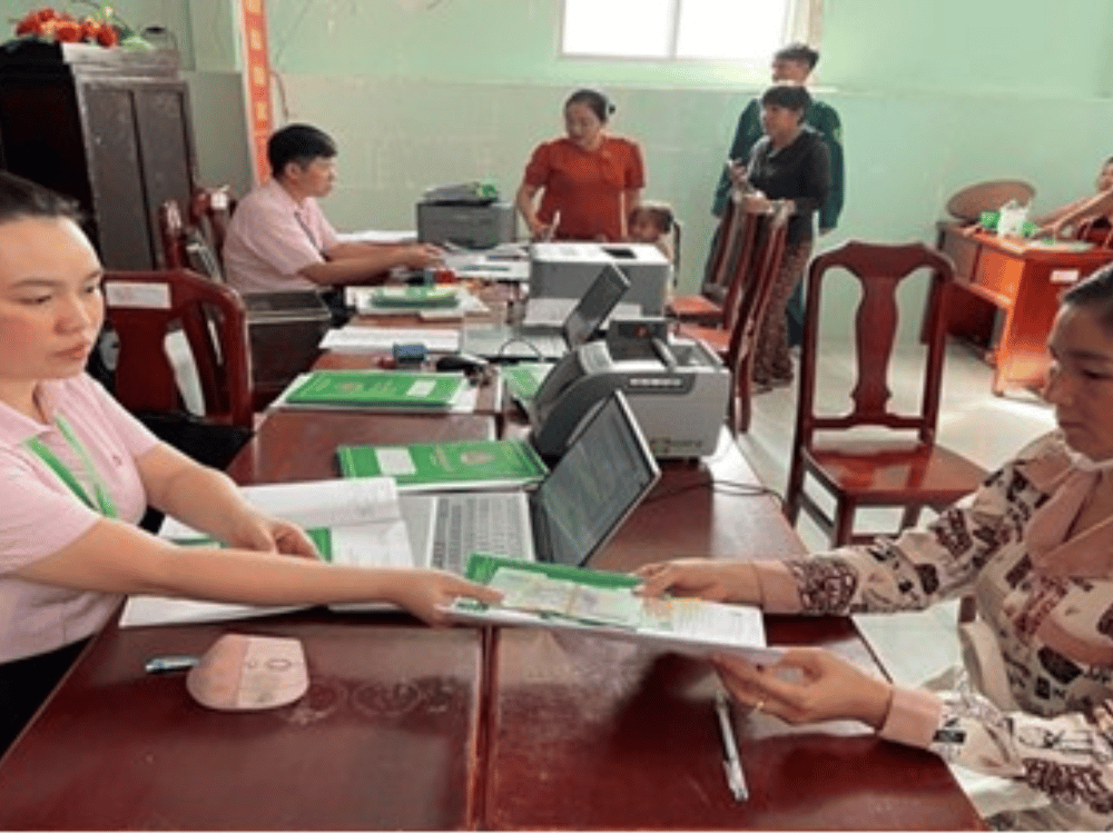 Triển khai chính sách