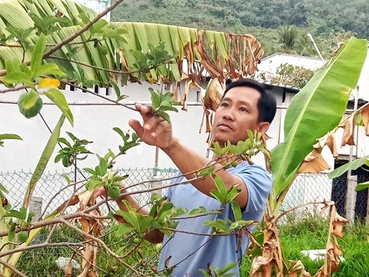 Tiềm năng được đánh thức