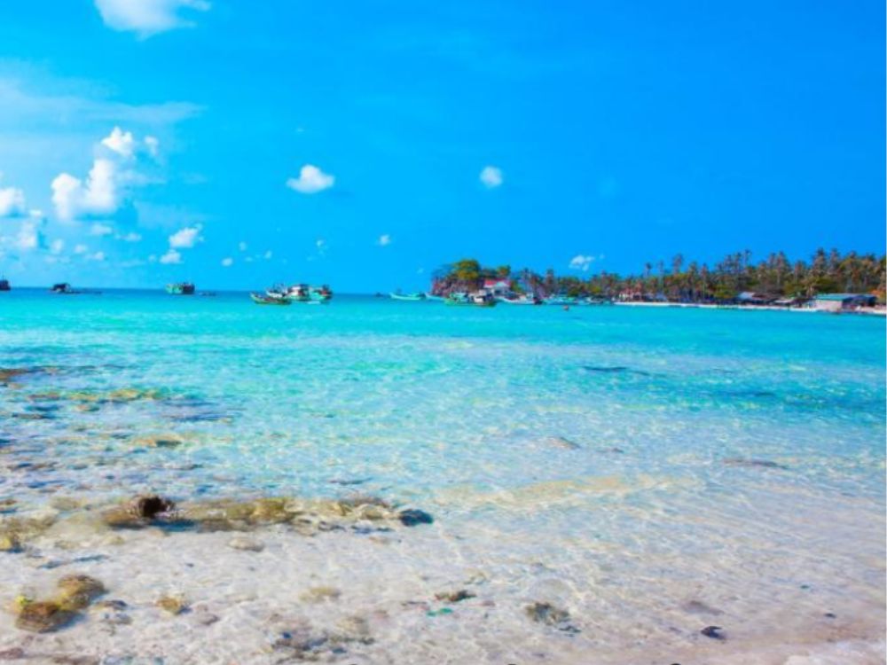 Thông tin nổi bật của đồ án