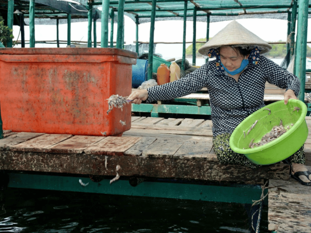 Nội dung chi tiết