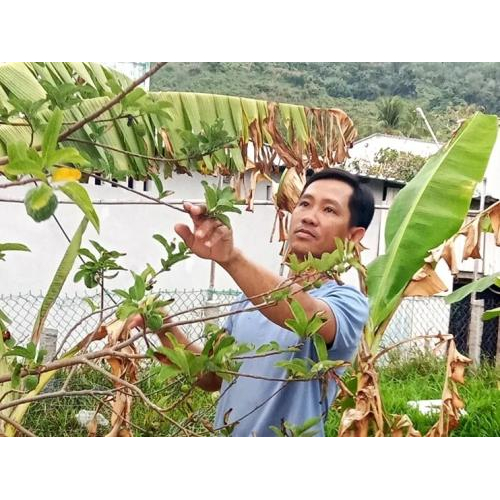 Tiềm năng được đánh thức