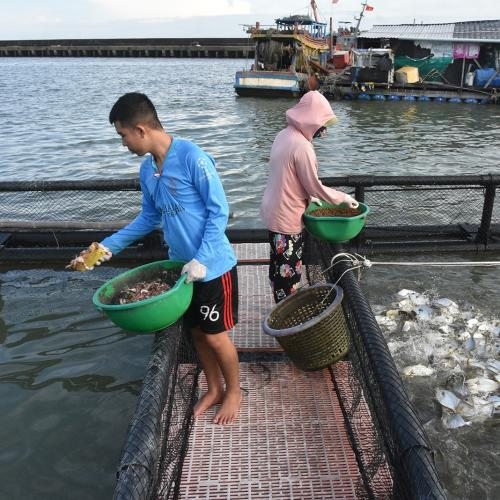 Kiến Tạo Đột Phá Từ Biển