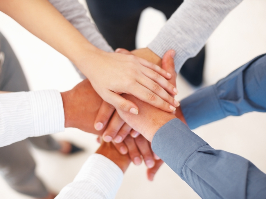 🤝 Cam kết của công ty