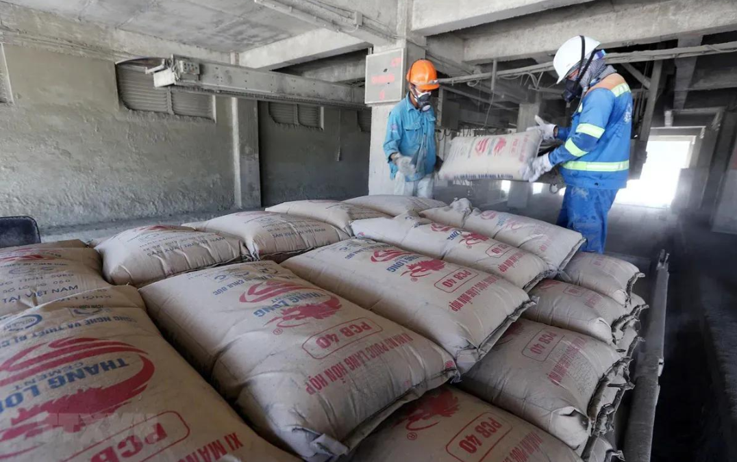 Lĩnh vực hoạt động